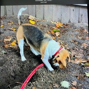 Meet your Posher, Patricia